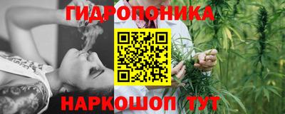 спиды Будённовск